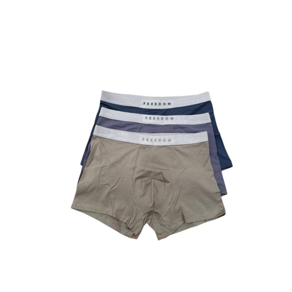 AUTHENTIC UNDERWEAR BOXERS