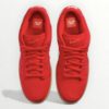 Nike SB Dunk Low Pro University Red