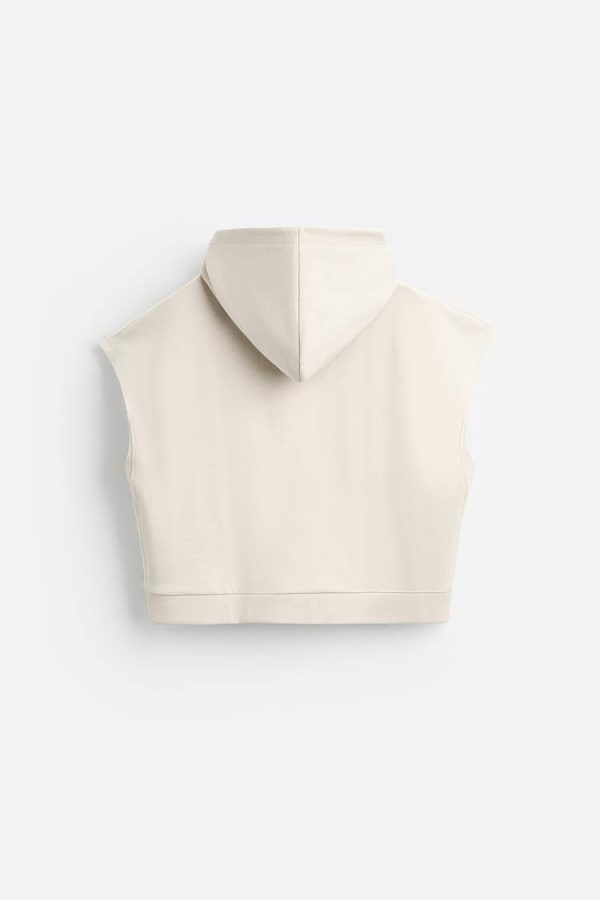 Zara Faded Crop Hoodie